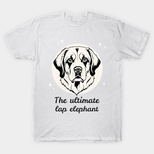 Saint Bernard Dog Face T-Shirt